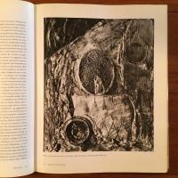 Max Ernst Sculptures Maisons Paysages