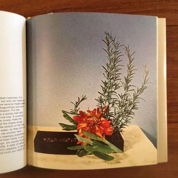 英]A Flower With Love(Bruno Munari) / 古本、中古本、古書籍の通販は