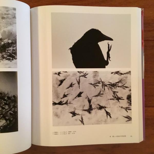 日本写真史 1945-2017 | レーナ・フリッチュ、 飯沢耕太郎 | 青幻舎