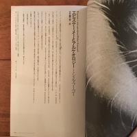 エピステーメー創刊準備号～終刊号　44冊揃