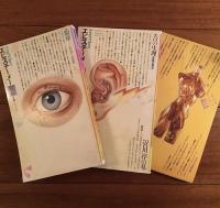 エピステーメー創刊準備号～終刊号　44冊揃