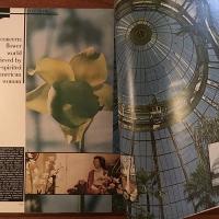 [英]Vogue 1978年6月号