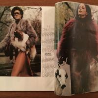 [英]Harper's Bazaar 1971年8月号