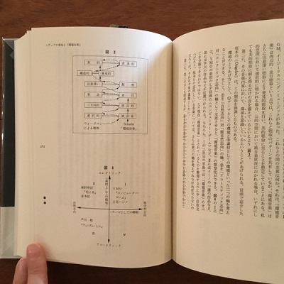 波の記譜法 : 環境音楽とはなにか