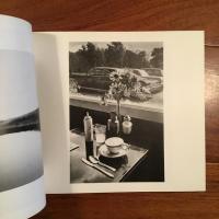 [英]Landscapes: Photographs by Burk Uzzle