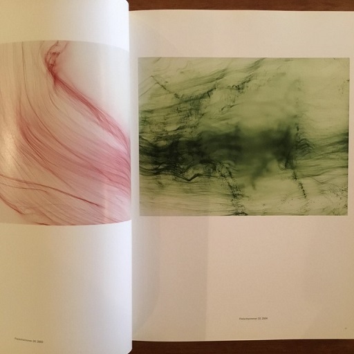 Wolfgang Tillmans: Freischwimmer(ヴォルフガング・ティルマンス 飯田