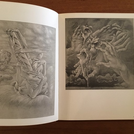 HANS BELLMER EDITIONS FILLIPACCHI 洋書　画集 HANS BELLMER photographe ハンス・ベルメール写真集（洋書） – 古書ドリス