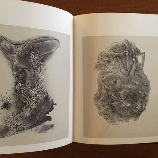 英]The Drawing of Hans Bellmer(Alex Grall, Constantin Jelenski