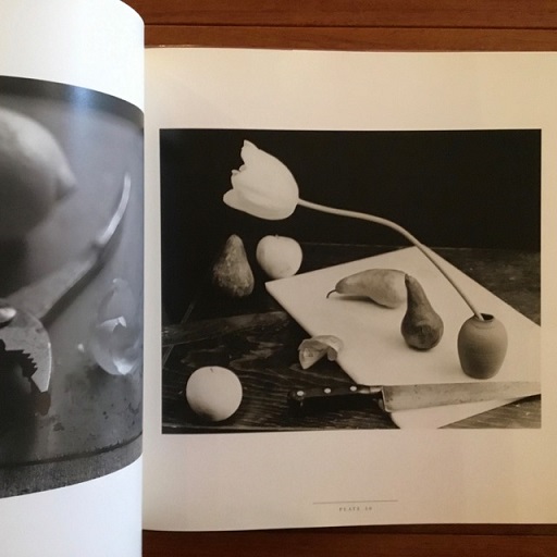 Susan Kismaric JAN GROOVER　ヤン・グルーバー Susan Kismaric JAN GROOVER ヤン・グルーバー Jan Groover - AIH Studios