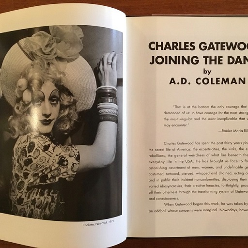 芸術写真 CharlesGateWood 英]Charles Gatewood Photographs(チャールズ・ゲートウッド