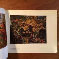 [英]Robert Glenn Ketchum