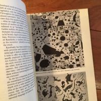 [英]Concerning the Spiritual in Art