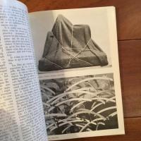 [英]Man Ray