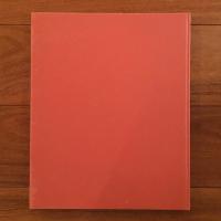 [独]Homo Sum: 34 Zeichnungen von Paul Wunderlich