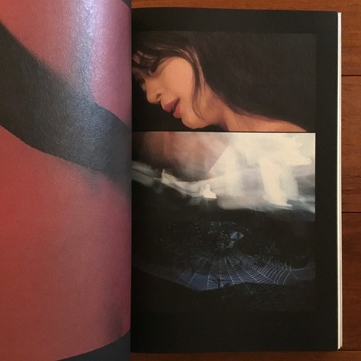 写真集　星野小麿　浮世絵くずし　／星野小麿(著者） 星野小麿 浮世絵くずし : 写真集(星野小麿 著) / 古本、中古本、古書籍