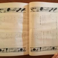 ニューデザイン 独習書 第22集