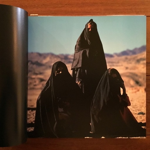 【人気投票 1~37位】ハイブランド人気ランキング！ Bonnie Young ボニー・ヤング 写真集 Colors of the Vanishing アート写真