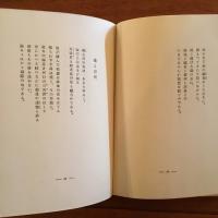 處女地の雪
