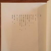hungerの森 日高てる詩集