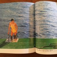 異端の資生堂広告 太田和彦の作品(太田和彦) / 古本、中古本、古書籍の