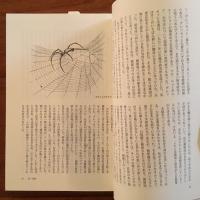 風鳥の棲む島