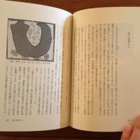 暮らしのなかの神さん仏さん 増補改訂