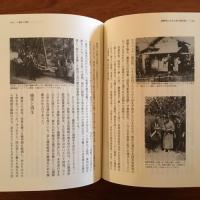 海外の茶道 茶道学大系 別冊