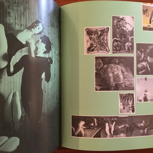 David Salle(David Salle) / 古本、中古本、古書籍の通販は