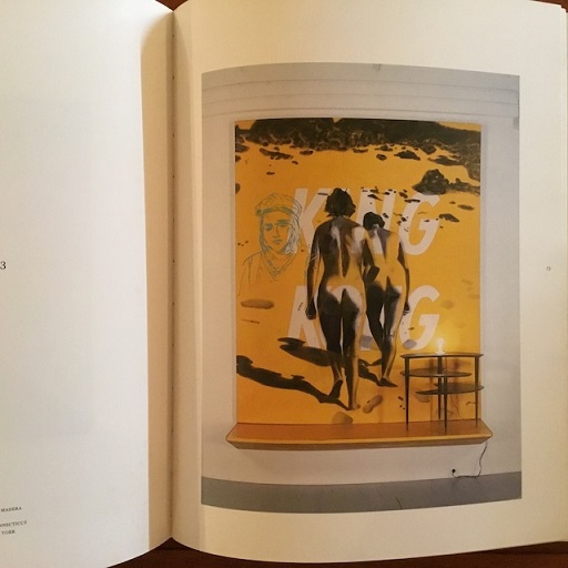 DAVID SALLE PHOTOGRAPHS デヴィッド・サーレ　写真集　洋書 DAVID SALLE PHOTOGRAPHS デヴィッド・サーレ 写真集 洋書