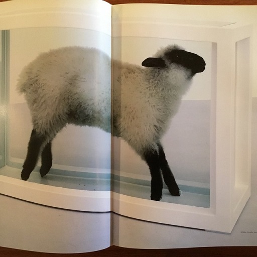 英]Young British Art: The Saatchi Decade(Charles Saatchi他) / 古本