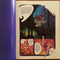 [英]Zora and the Hibernauts