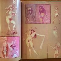 [英]The Art of Craig Elliott