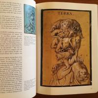 [英]The Arcimboldo Effect