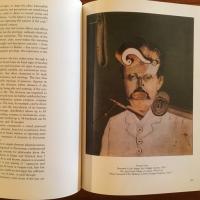 [英]The Arcimboldo Effect