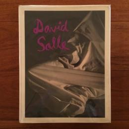 [英]David Salle: Photographs