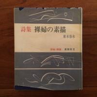 詩集 裸婦の素描