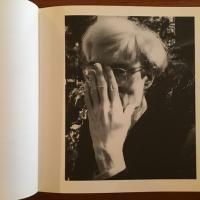 [英]Andy Warhol's Visual Memory