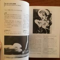 日本の美術館と写真コレクション