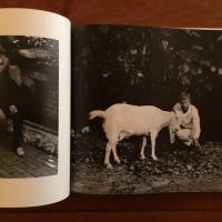 [英]Contemporary Photographer: Volume V, Number 4