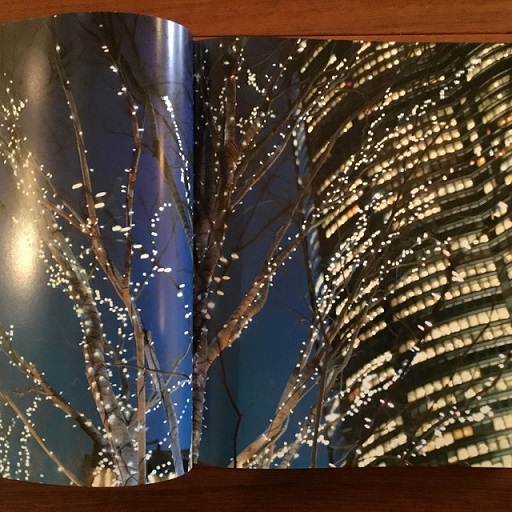 SIX STRATA:ROPPONGI HILLS DEFINED ホンマタカシ Six Strata: Roppongi Hills Defined | Flying Books