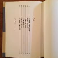 写真と絵画のアルケオロジー