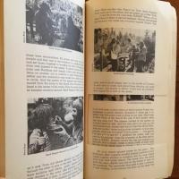 [英]The Hog Farm and Friends