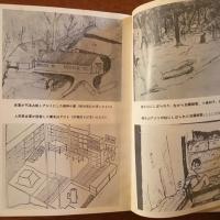 連合赤軍 この人間喪失