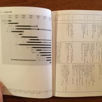 「土田ヒロミを数える」 タイムトンネルシリーズ Vol.10