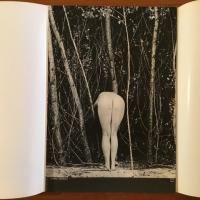 [英]The Love: Works of 7 Top World-Wide Photographers