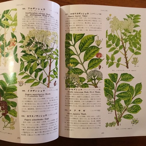 原色牧野植物大図鑑 2巻セット 2冊セット 原色牧野植物大図鑑
