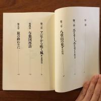 南からの風