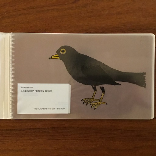 Il Merlo Ha Perso Il Becco/ The Blackbird Has Lost Its Beak