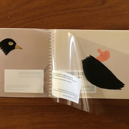 Il Merlo Ha Perso Il Becco/ The Blackbird Has Lost Its Beak
