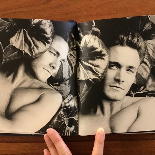 英]Metamorphoses of an American: A Cycle of Youth 2003-2008(Karl